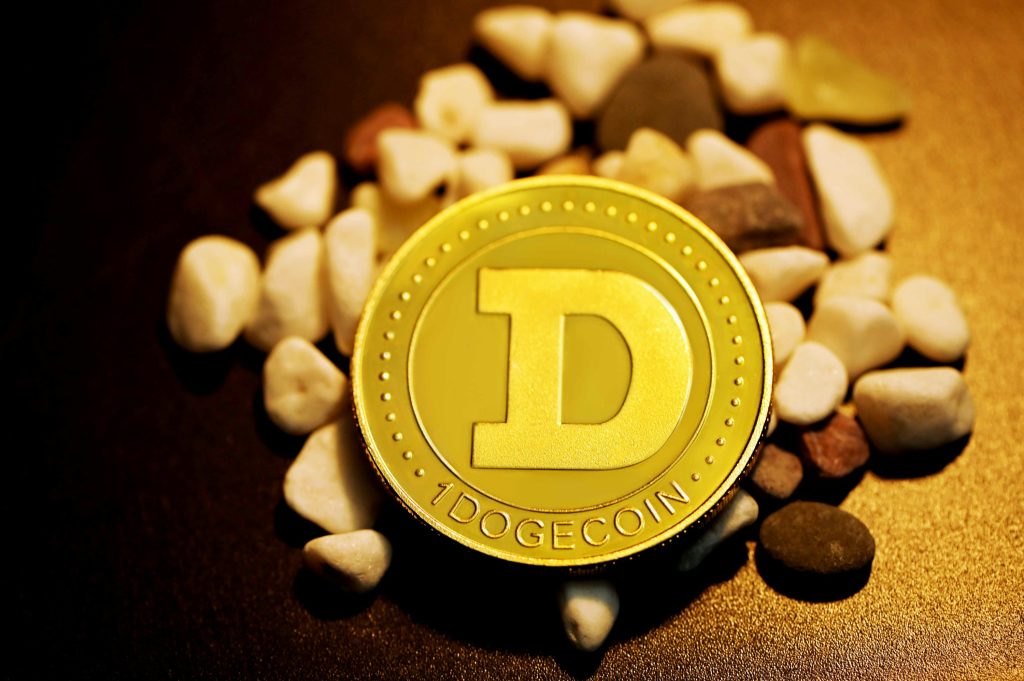 Dogecoin falls 20% – but some think this is where the real gains begin