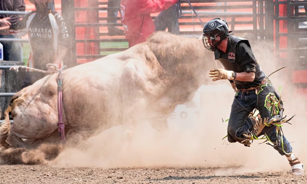 Realization of ATH expected by late 2026: Analyst