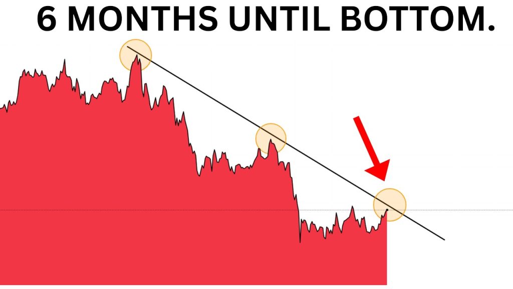 WE ARE HALFWAY THROUGH THE BEAR