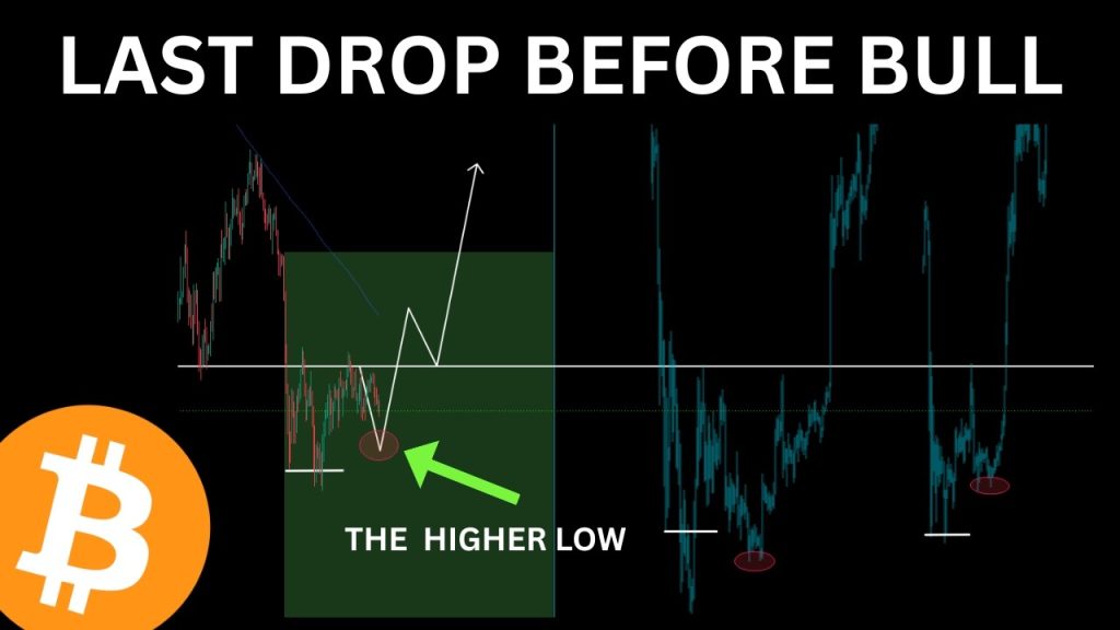 BITCOIN: THE LAST DROP BEFORE BULL