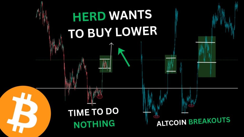 THE HERD WANTS TO BUY LOWER